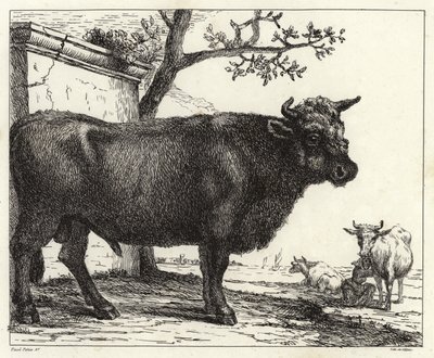 The Bull by Paulus Potter